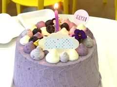 晨曦蓝莓-SAYScake善食感戚风蛋糕(临江大道店)