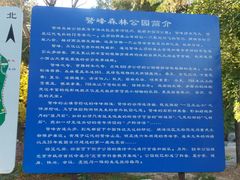 -北京鹫峰国家森林公园