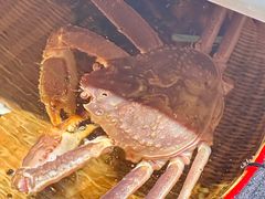 -宁海食府(大剧院店)