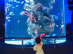 -芜湖新华联大白鲸海洋公园