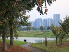 -洋湖国家湿地公园