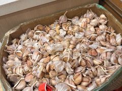 -水仙拉面(水仙街店)