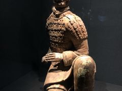 -陕西历史博物馆