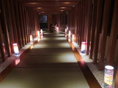 -重庆南山海昌汤都