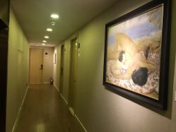 -海豚湾高端月子会所(黄浦店)