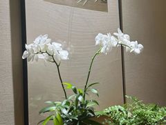 -王府茶宴(大观园总店)