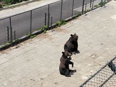 -大连森林动物园