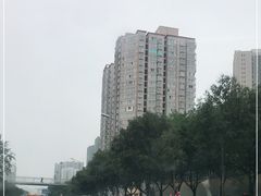 -小贝壳酒楼(经九路店)