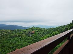 -三亚亚龙湾人间天堂鸟巢度假村