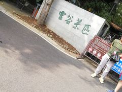 -灵谷景区