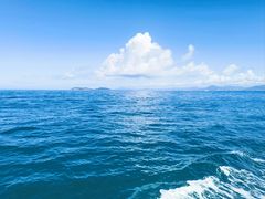 -小猫钓鱼海钓俱乐部(椰梦长廊店)