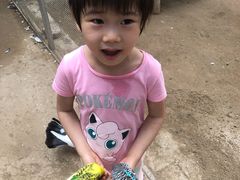 -呀路古热带植物园