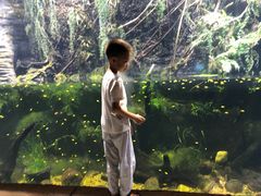 -华夏文旅海洋公园