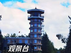 -峡谷浮石林景区