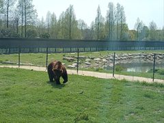 -上海野生动物园