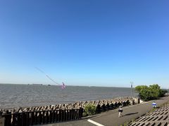 -上海滨江森林公园