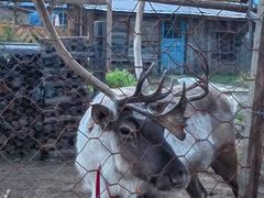 -北极村旅游风景区