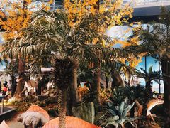 -湖南省地质博物馆