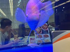 -新辉港式茶餐厅(北栅店)