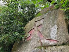 -天鹿湖森林公园