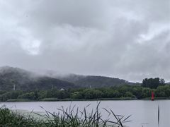 -长广溪湿地公园