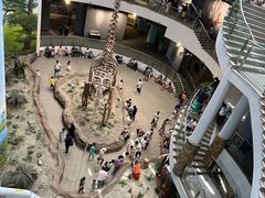 -辽宁古生物博物馆