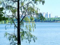 -海珠湖公园