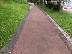 -王借岗森林公园