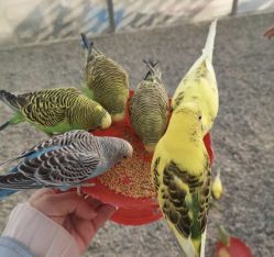 -萌宠亲子动物乐园(槐房万达店)