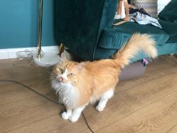 -沫儿·美甲美睫·半永久·皮肤管理