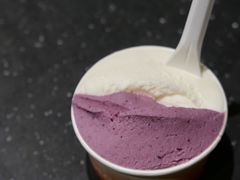莓果与柑橘-Dip in Gelato(富民路店)