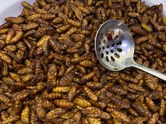 -星海汇海鲜自助烤肉火锅(百大店)