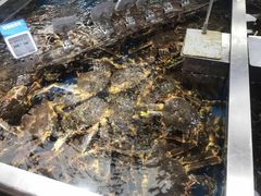 -盒马鲜生(大成店)