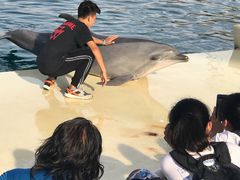 -秦皇岛乐岛海洋王国