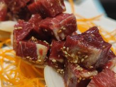 -猫爪爪原切自助烤肉(观音桥阳光世纪店)