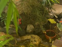-米庄·原味私房菜(骏壹万邦店)