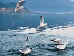 -丽江泸沽湖景区