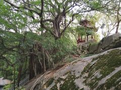-乌山风景区