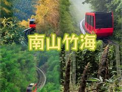 -紫藤园·天目湖大鱼头(南山竹海店)
