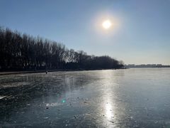 -丁香湖公园