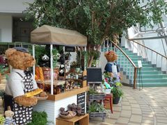 android_upload_pic-济州岛泰迪熊博物馆