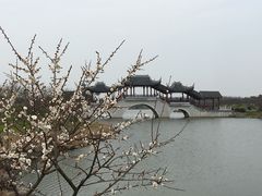 景点-上海海湾国家森林公园