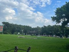 -广州长隆飞鸟乐园