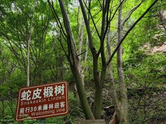 -雾灵西峰