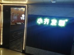 -小齐发型Star·Salon
