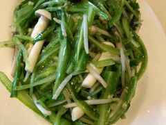 双菇青龙菜-无招牌海鲜餐厅(滨海艺术中心店)