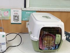 -联合动物医院(光谷诊疗中心)