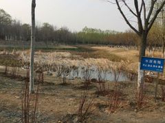 -东郊湿地公园