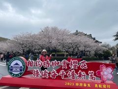 -武汉大学-樱园