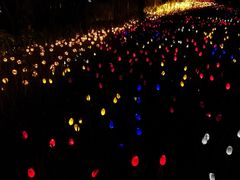 -怡海公园(桂城街道)